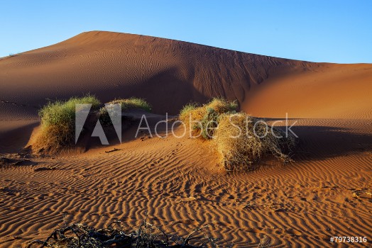 Picture of desert landscape in Namibia